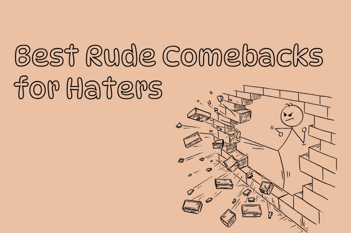 70, Best Rude Comebacks for Haters