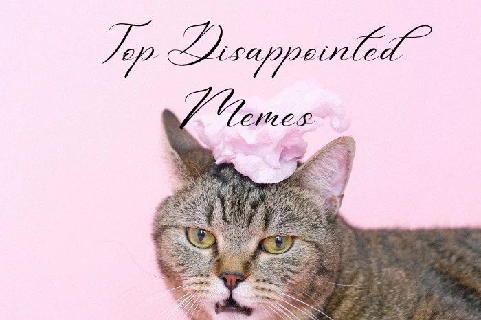 Top Disappointed Memes That Perfectly Capture the Mood