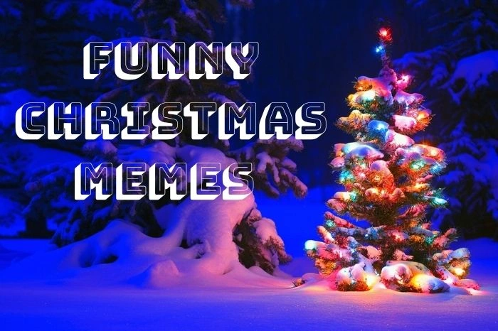 40+ Funny Christmas Memes You Can’t Miss This Year