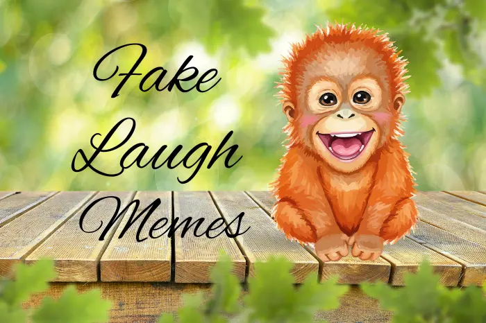 Laughing Meme Collection – Funniest Memes to Make You Laugh Hard