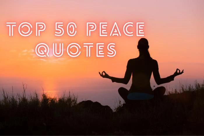 Best Peace Quotes for Everyday Serenity