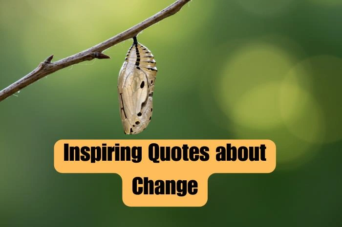 Top 80 Inspiring Quotes about Change, Growth & New Beginnings