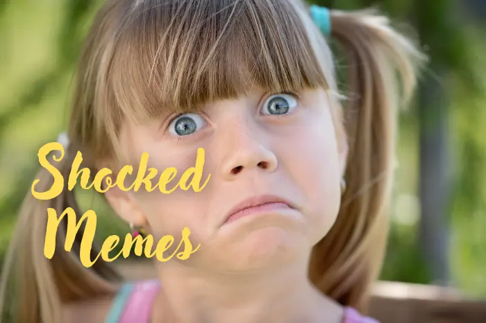 55+ Top Shocked Memes That Show Perfect Surprise Reactions