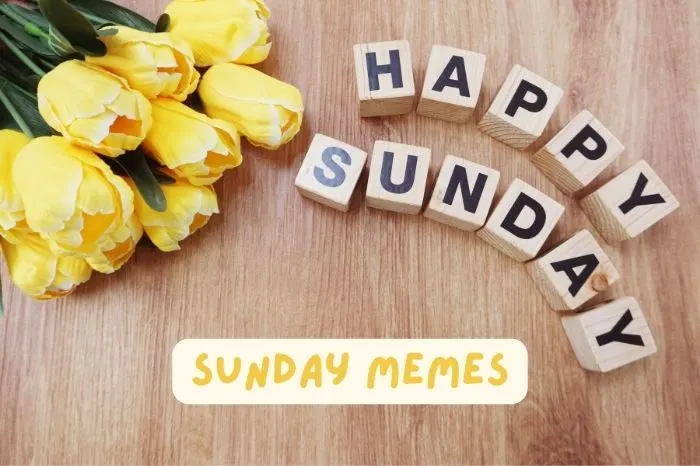 40+ Hilarious Sunday Memes to Brighten Your Weekend