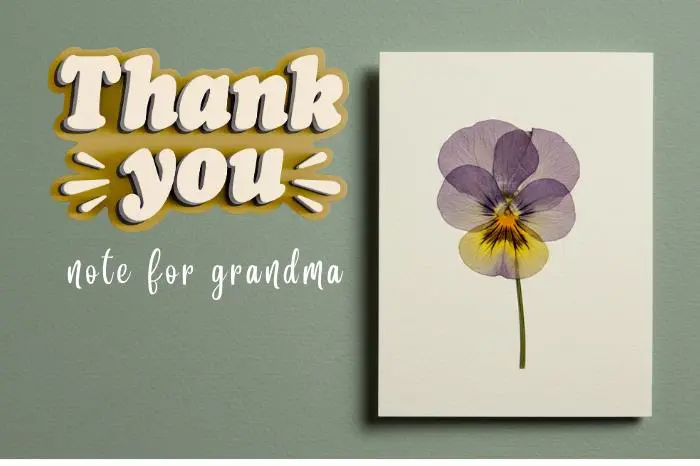 65+ Heartfelt Thank You Note for Grandma From Emotional to Cherish