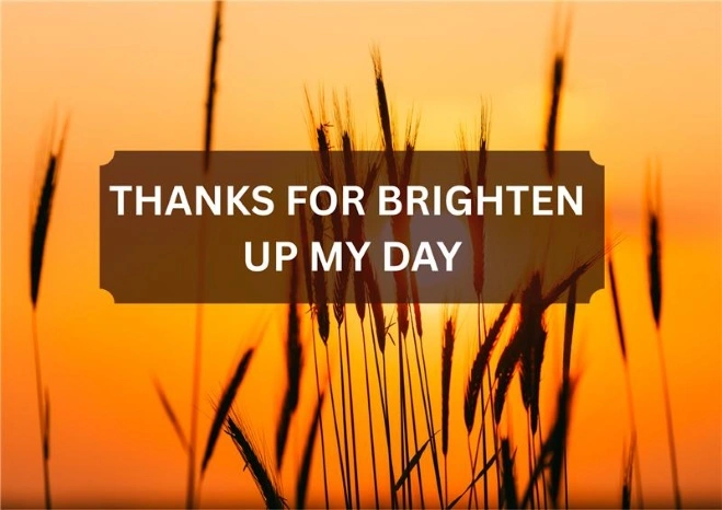 Thanks For Brighten Up My Day Quotes and Messages to Share and Inspire