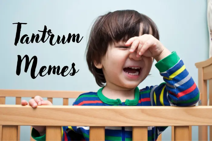 40+ Hilarious Toddler Tantrum Memes Every Parent Will Find Truly Relatable
